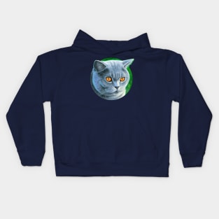 Grey British Shorthair Cat Kids Hoodie